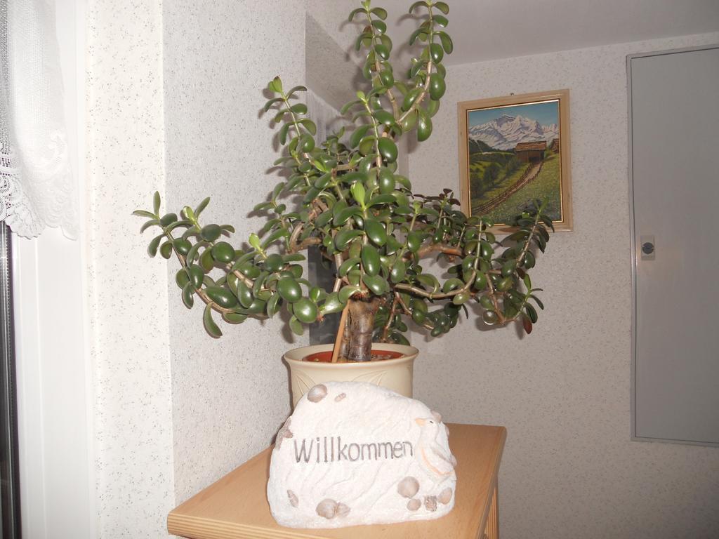 Ferienhaus In Hafennahe Appartement Sassnitz Kamer foto